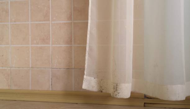 Best Mold Remediation for Healthcare Facilities  in East Uniontown, PA