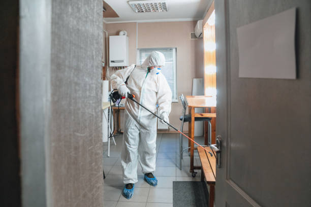 Best Commercial Mold Inspection  in East Uniontown, PA